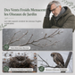 🌿🐦 Nid d'Oiseau Sphérique en Paille Tressée – Abri Suspendu Naturel, Ouverture Ronde et Décoration de Jardin
