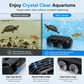 🐢💧 Collecteur de Déchets pour Aquarium et Tortues – Piège Automatique, Eaux Peu Profondes et Nettoyage Facile