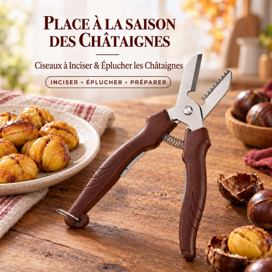 🌰🔪 Ciseaux à Châtaignes 2-en-1 (18,5 cm) – Incision Propre, Épluchage Facile et Verrou de Sécurité