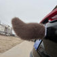 🦊🚗 Queue de Voiture Électrique Animée en Peluche | Mouvement Motorisé Télécommandé, Contrôle Vocal & Recharge Type-C