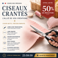 ✂️🛒 -50% ! 🧵Ciseaux Zig-Zag en Acier Inoxydable – Poignée Ergonomique, Anti-Effilochage & Coupe Tissu, Papier & Cuir.